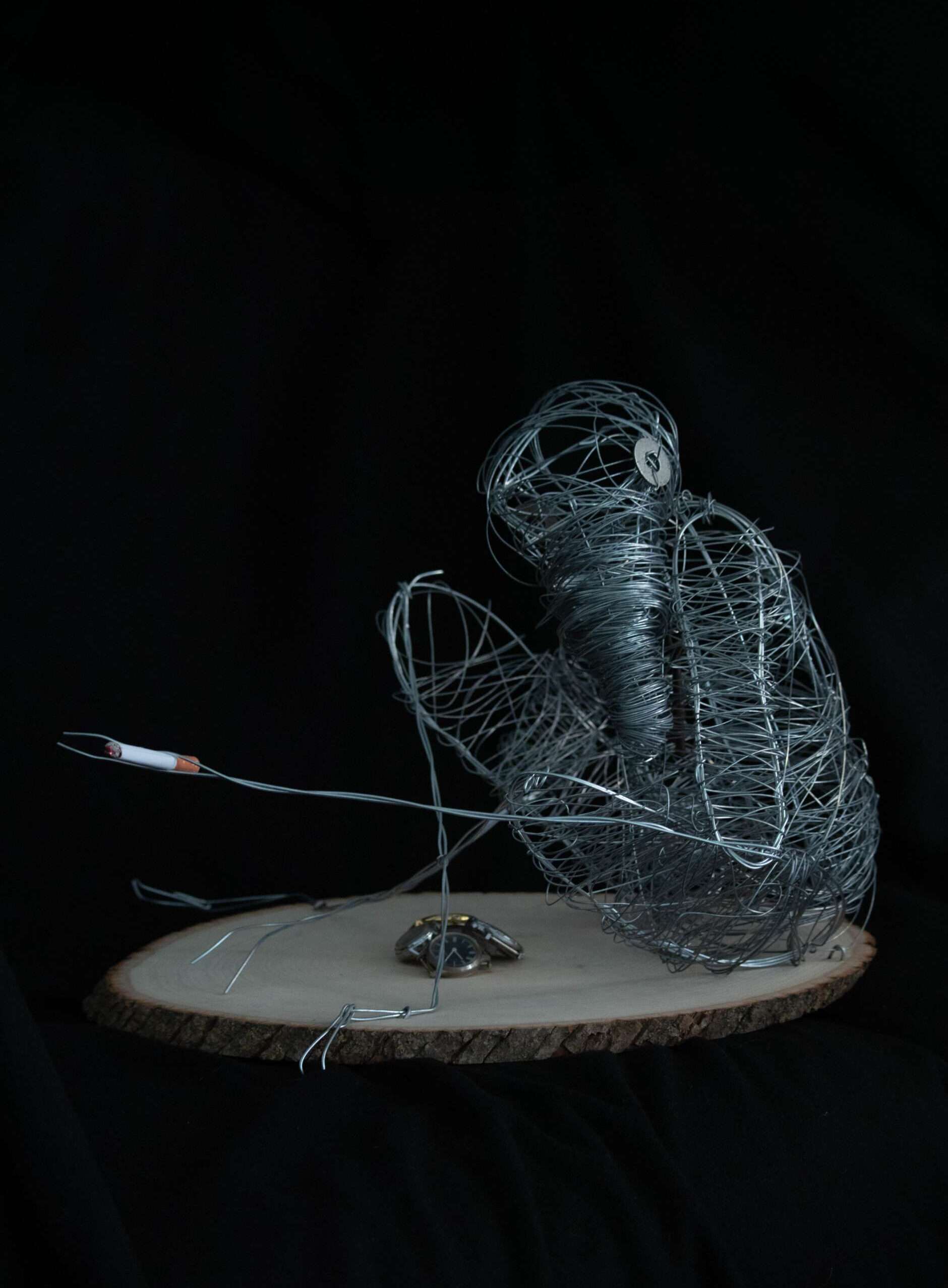 Portfolio item 1