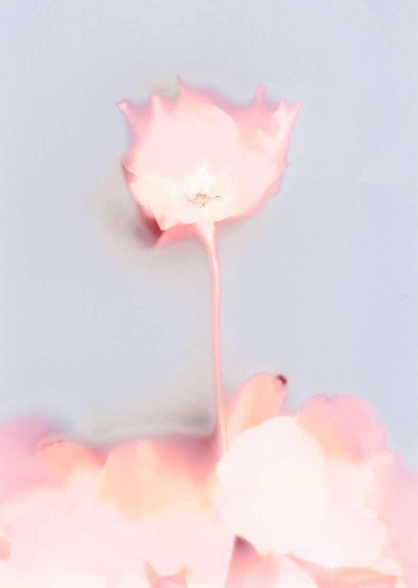 Portfolio item 1