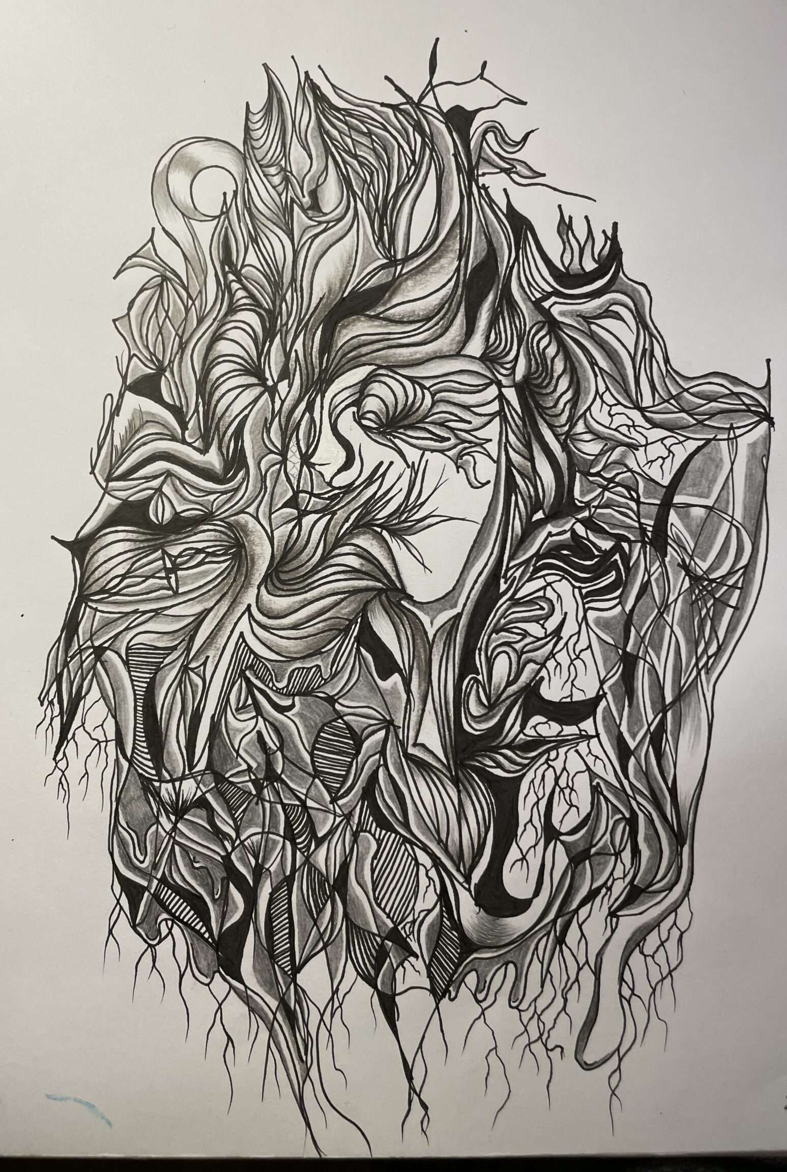Portfolio item 1