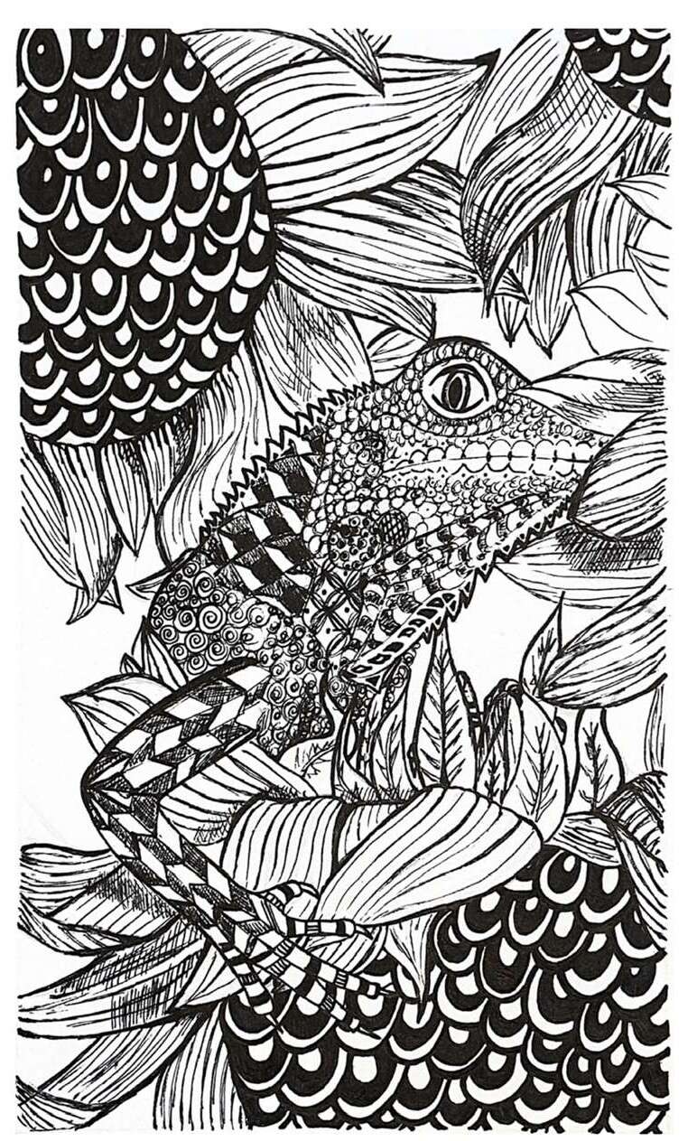 Portfolio item 1