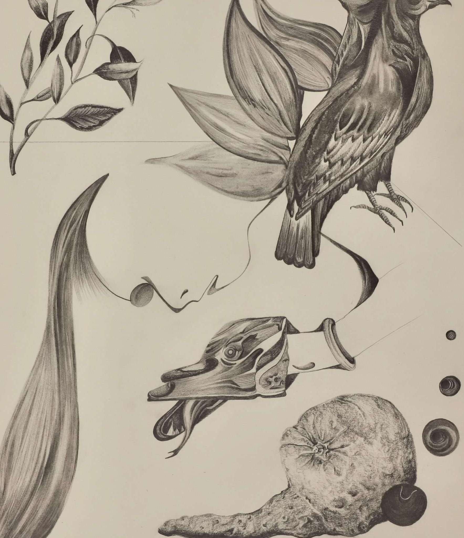 Portfolio item 1