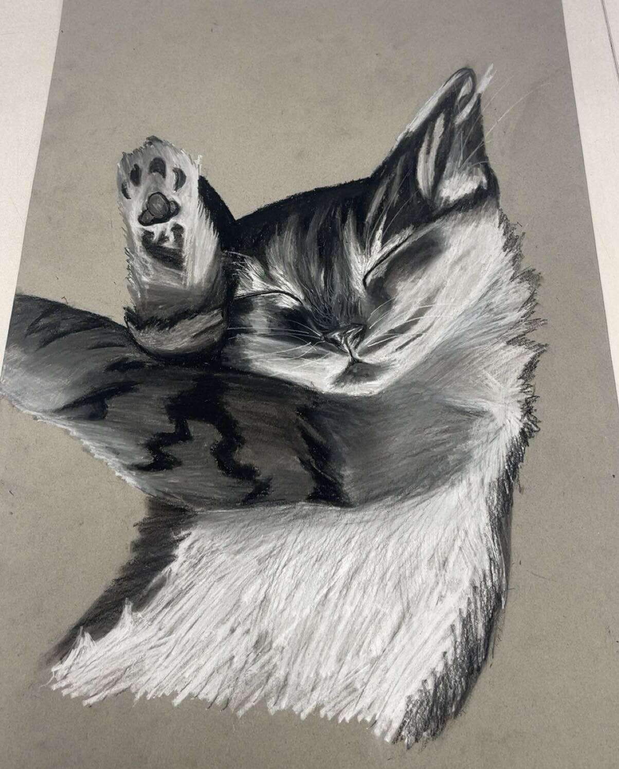Portfolio item 1