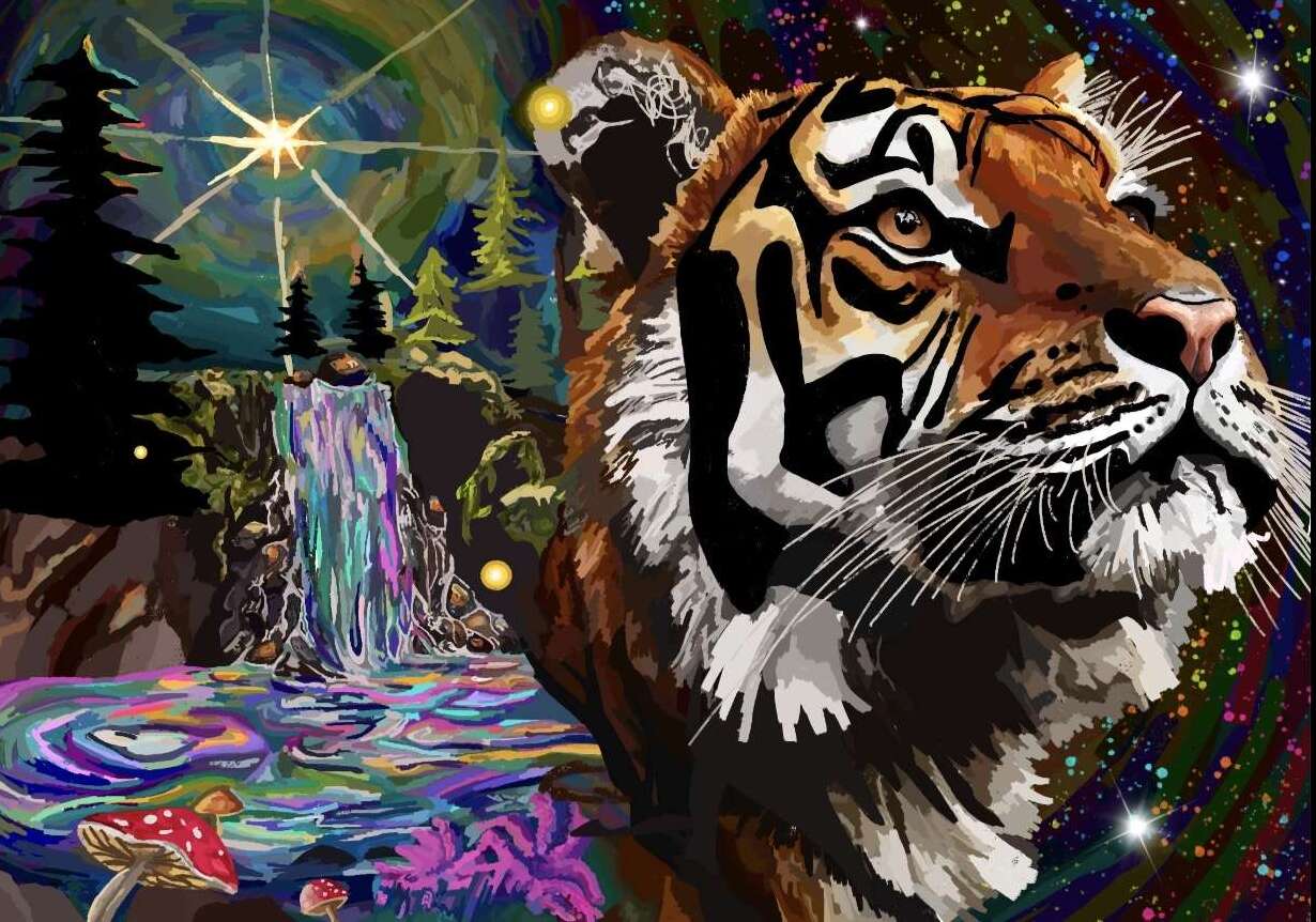 Portfolio item 1